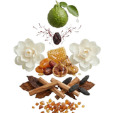 Casablanca Home Care